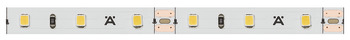LED strip light, Häfele Loox5 Eco LED 2071 12 V 8 mm 2-pin (monochrome), 60 LEDs/m, 4.8 W/m, IP20